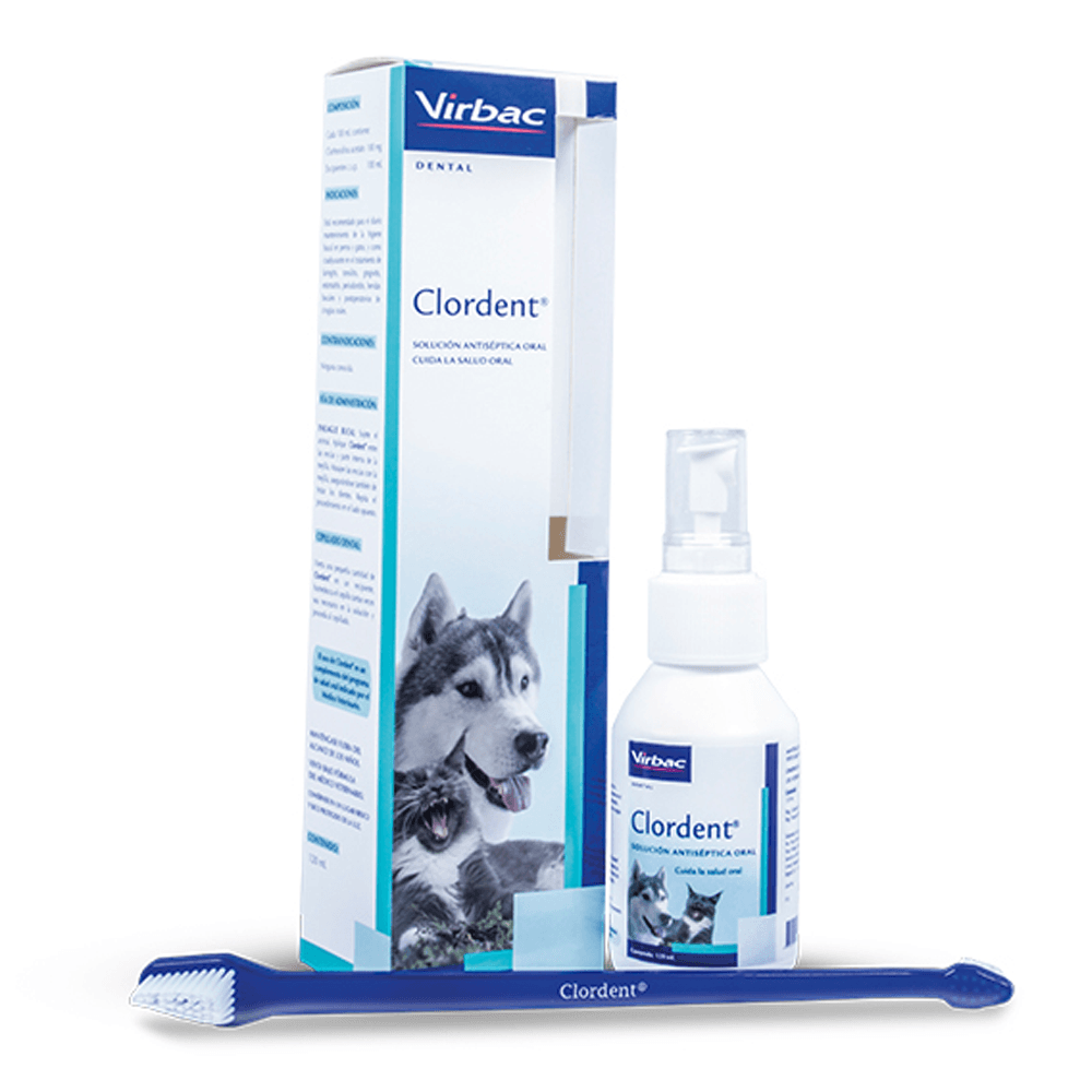 Imagen principal de Clordent Spray