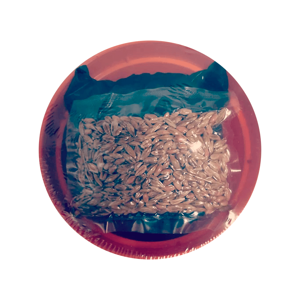 Miniatura 2 de Kit de Siembra Pet Grass - Pasto Gatuno