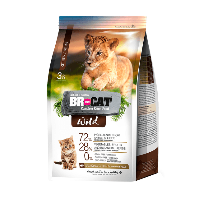 BR For Cat Wild Kitten