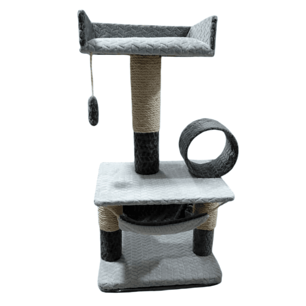 Imagen principal de Gimnasio Mediano Gris